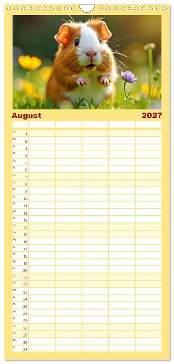 Produktbild: Familienplaner 2027 - S&uuml;&szlig;e Meerschweinchen mit 5 Spalten (Wandkalender, 21 x 45 cm) CALVENDO