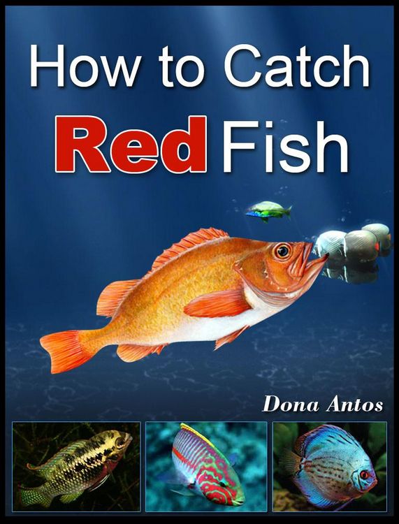Produktbild: How To Catch Redfish