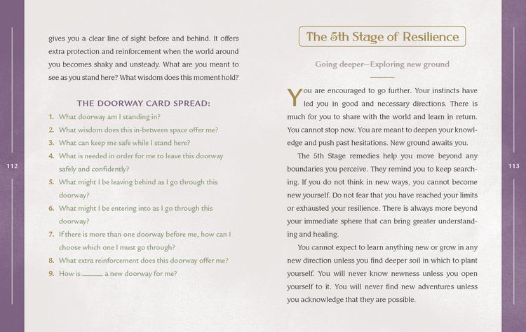 Produktbild: Resilience Alchemy