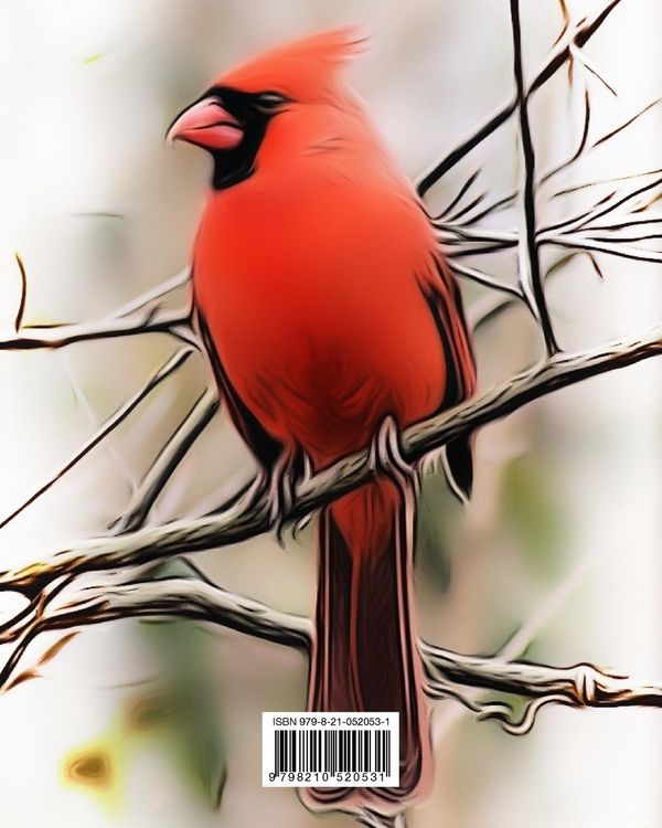 Produktbild: "How Will You Know?" Says The Red Bird