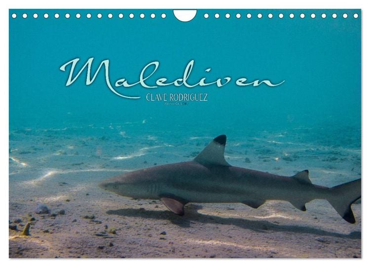 Produktbild: Unterwasserwelt der Malediven I (Wandkalender 2026 DIN A4 quer), CALVENDO Monatskalender