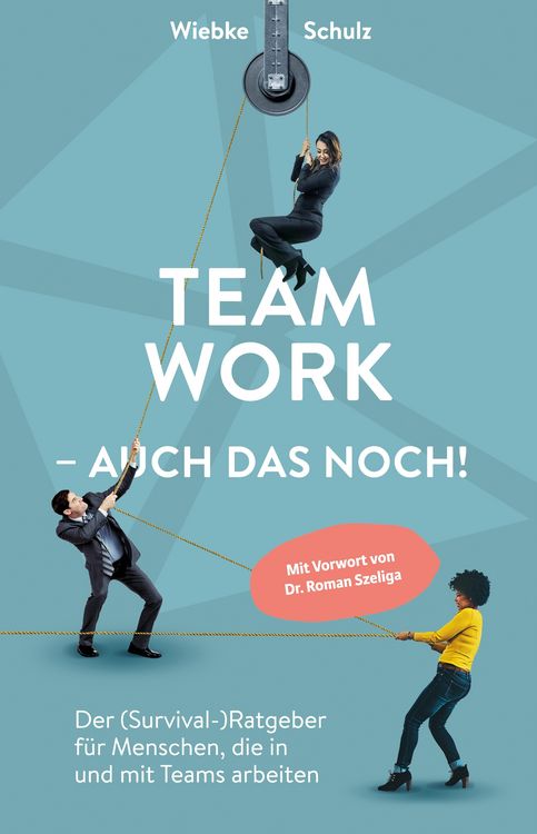 Produktbild: Teamwork &ndash; auch das noch!