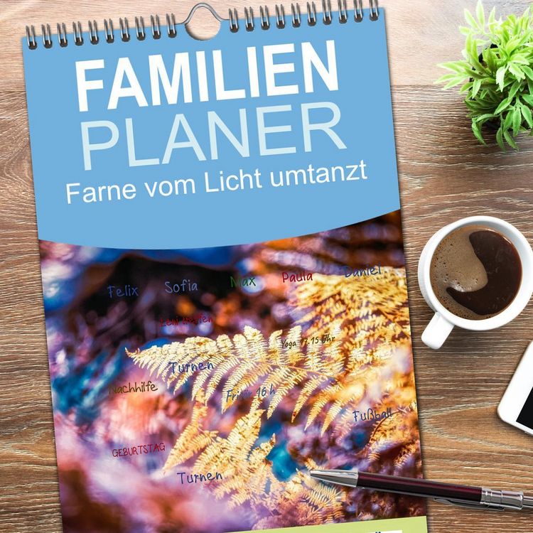 Produktbild: Familienplaner 2026 - Farne vom Licht umtanzt mit 5 Spalten (Wandkalender, 21 x 45 cm) CALVENDO