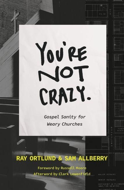 Produktbild: You're Not Crazy