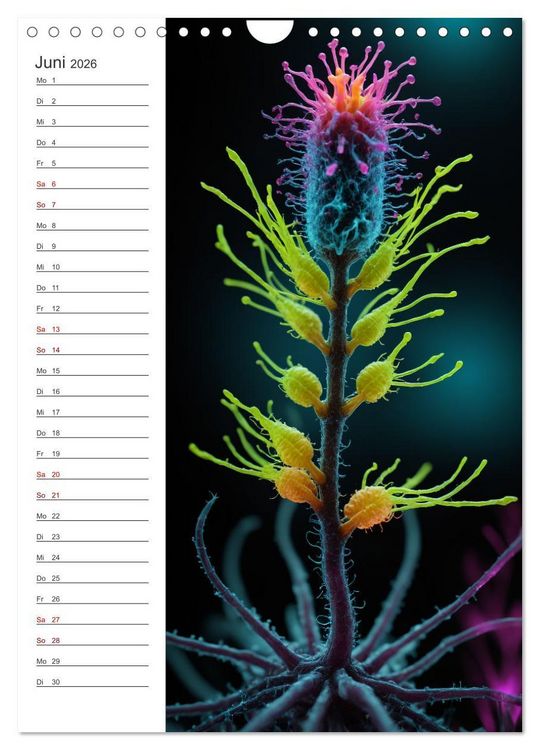 Produktbild: Leuchtende Mikroflora (Wandkalender 2026 DIN A4 hoch), CALVENDO Monatskalender
