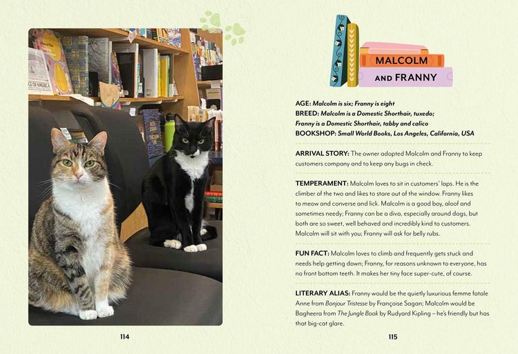 Produktbild: Bookshop Cats