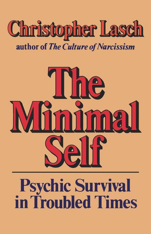 Produktbild: The Minimal Self