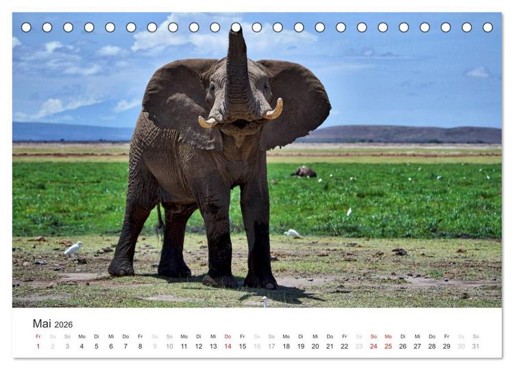 Produktbild: Elefanten - Sanfte Riesen in Afrika (Tischkalender 2026 DIN A5 quer), CALVENDO Monatskalender