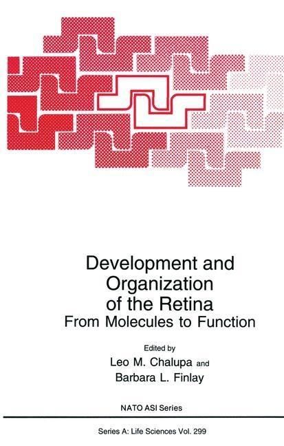 Produktbild: Development and Organization of the Retina