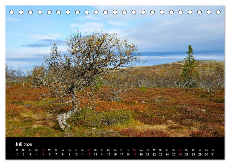 Produktbild: B&auml;ume (Tischkalender 2026 DIN A5 quer), CALVENDO Monatskalender
