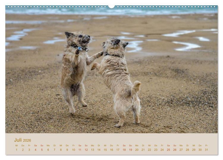 Produktbild: Cairns Forever (Wandkalender 2026 DIN A2 quer), CALVENDO Monatskalender