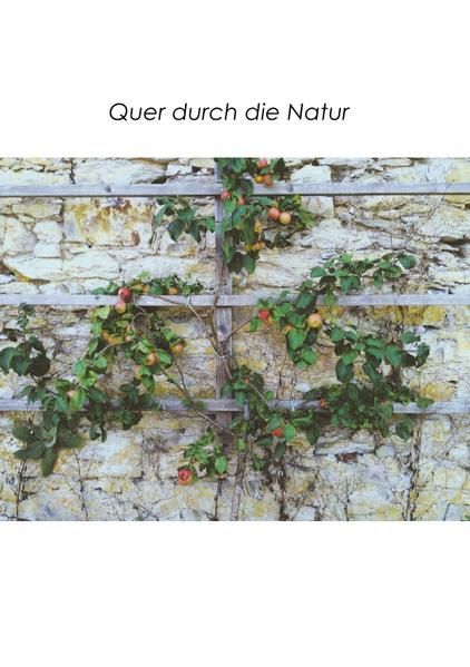 Produktbild: Quer durch die Natur