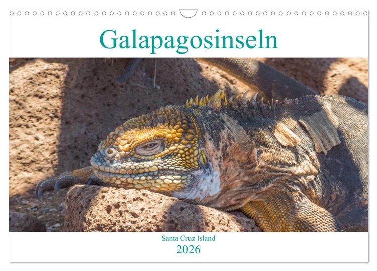 Produktbild: Die Galapagosinseln - Santa Cruz Island (Wandkalender 2026 DIN A3 quer), CALVENDO Monatskalender