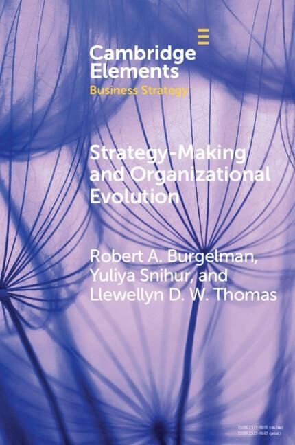 Produktbild: Strategy-Making and Organizational Evolution