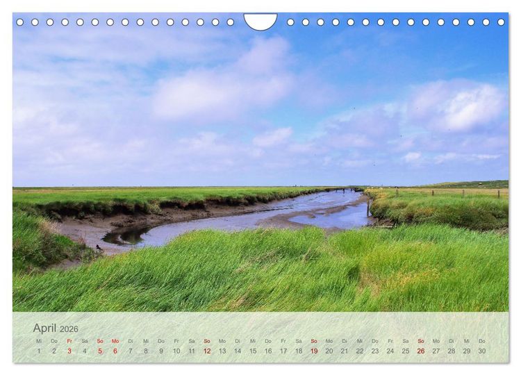 Produktbild: Salzwiesen, Schafe und Watt - Westerhever, ein Naturparadies an der Nordsee (Wandkalender 2026 DIN A4 quer), CALVENDO Monatskalender
