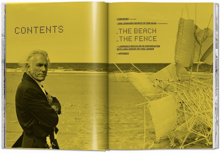Produktbild: Strandbeest