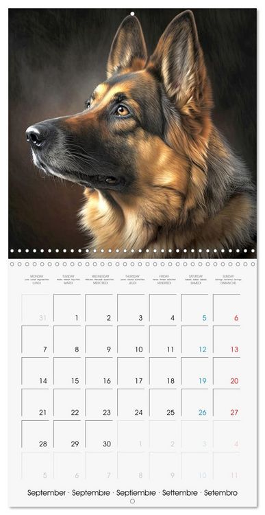 Produktbild: Portraits de grands chiens (Calendrier mural carr&eacute; 2026 30x30 cm) Calendrier double avec une page pour vos prises de notes