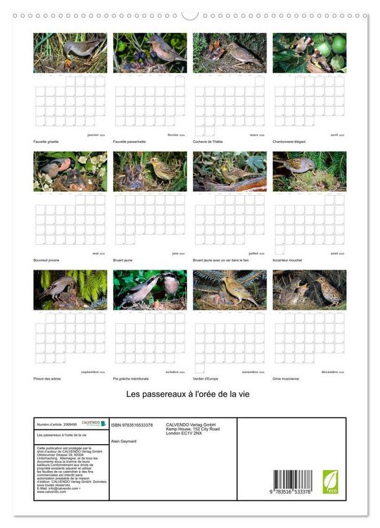 Produktbild: Les passereaux &agrave; l'or&eacute;e de la vie (Calendrier mural 2026 DIN A2 horizontal) calendrier de bureau