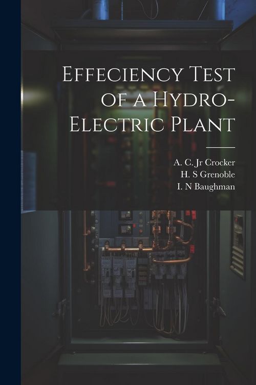 Produktbild: Effeciency Test of a Hydro-electric Plant