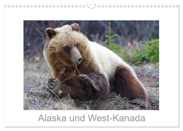 Produktbild: Alaska und West-Kanada (Wandkalender 2026 DIN A3 quer), CALVENDO Monatskalender