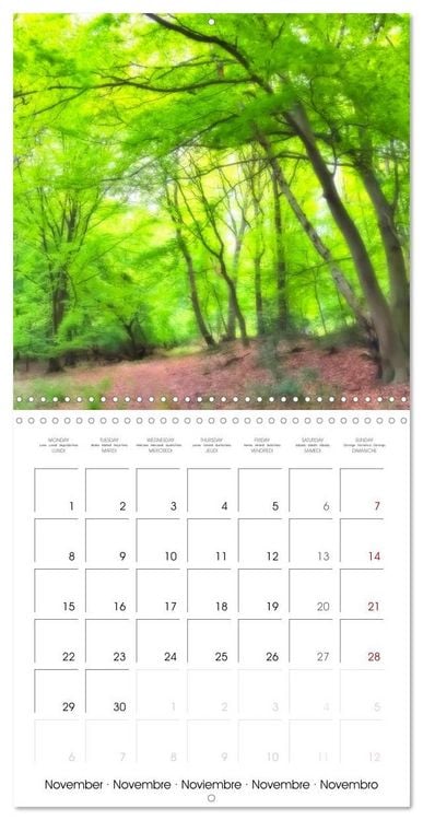 Produktbild: German Landscapes (Wall Calendar 2027 12 &times; 12 Inch) CALVENDO 12 Month Wall Calendar