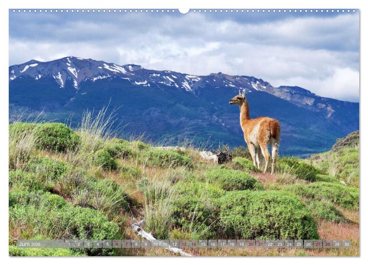 Produktbild: Bekanntes und Unbekanntes Patagonien (Wandkalender 2026 DIN A2 quer), CALVENDO Monatskalender