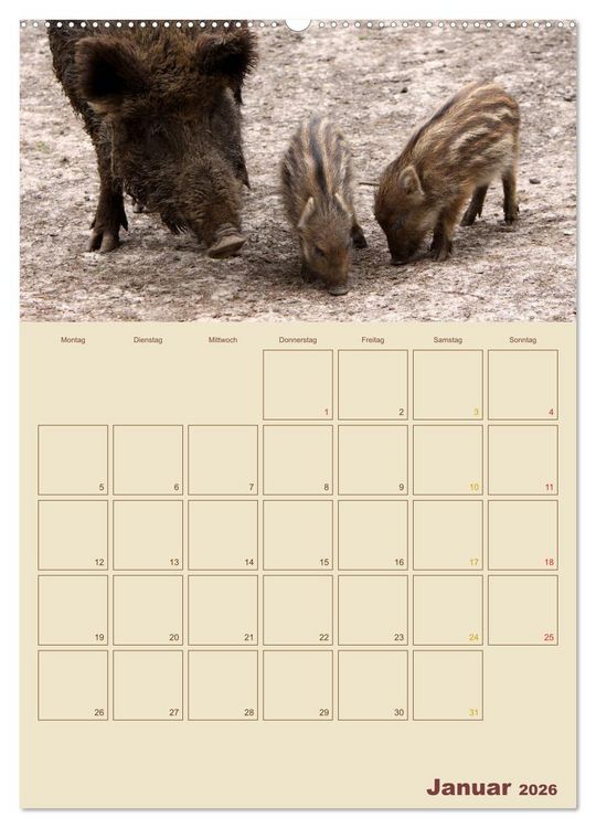 Produktbild: Wildschweine (hochwertiger Premium Wandkalender 2026 DIN A2 hoch), Kunstdruck in Hochglanz