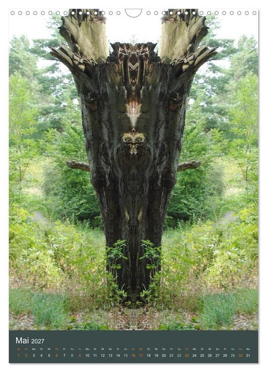 Produktbild: Spiegelwelten - Botschaften der Naturwesen (Wandkalender 2027 DIN A3 hoch), CALVENDO Monatskalender