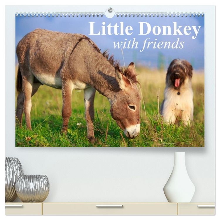 Produktbild: Little Donkey with Friends (High Quality Premium Wall Calendar 2026 DIN A2 landscape),CALVENDO 12 Month Wall Calendar