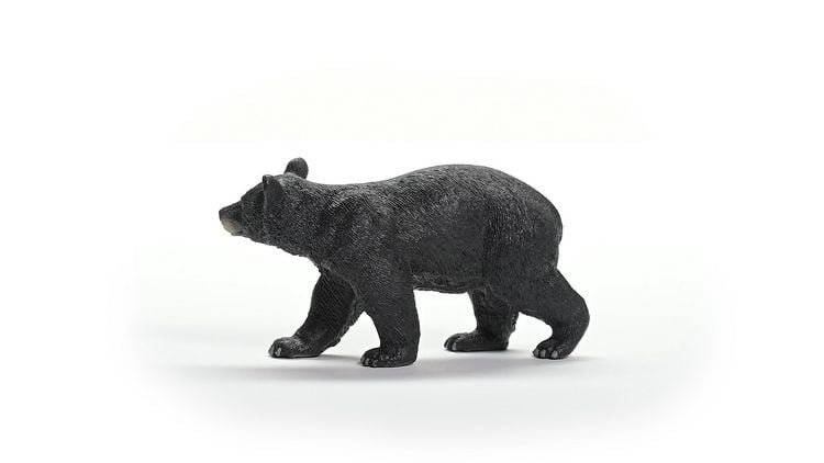 Produktbild: schleich&reg; Wild Life Amerikanischer Schwarzb&auml;r 5,5cm