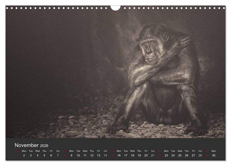 Produktbild: African Souls African animals with soul (Wall Calendar 2026 DIN A3 landscape), CALVENDO 12 Month Wall Calendar