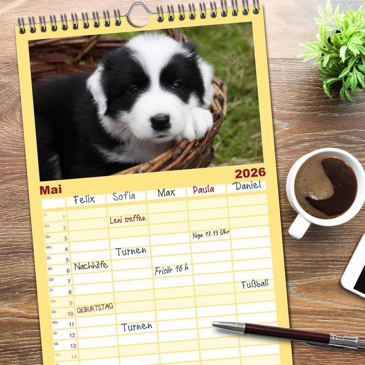 Produktbild: Familienplaner 2026 - Border Collie Welpen mit 5 Spalten (Wandkalender, 21 x 45 cm) CALVENDO