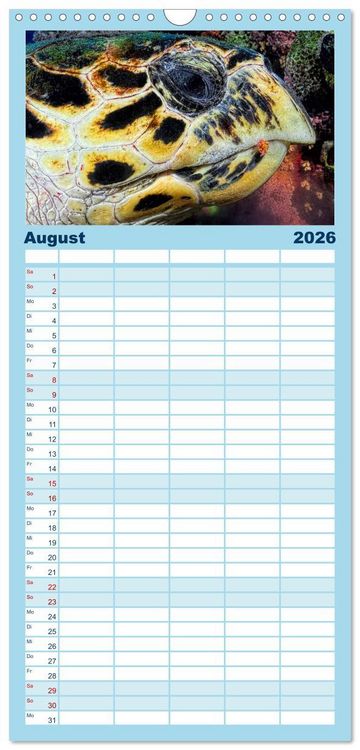 Produktbild: Familienplaner 2026 - Schildkr&ouml;ten des Ozeans mit 5 Spalten (Wandkalender, 21 x 45 cm) CALVENDO