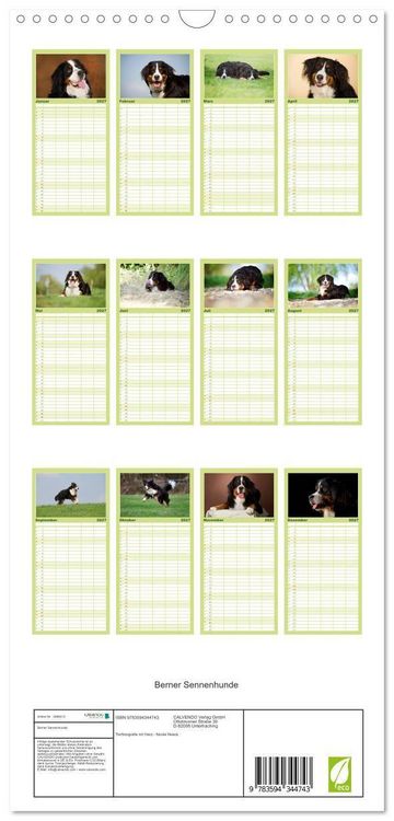 Produktbild: Familienplaner 2027 - Berner Sennenhunde mit 5 Spalten (Wandkalender, 21 x 45 cm) CALVENDO