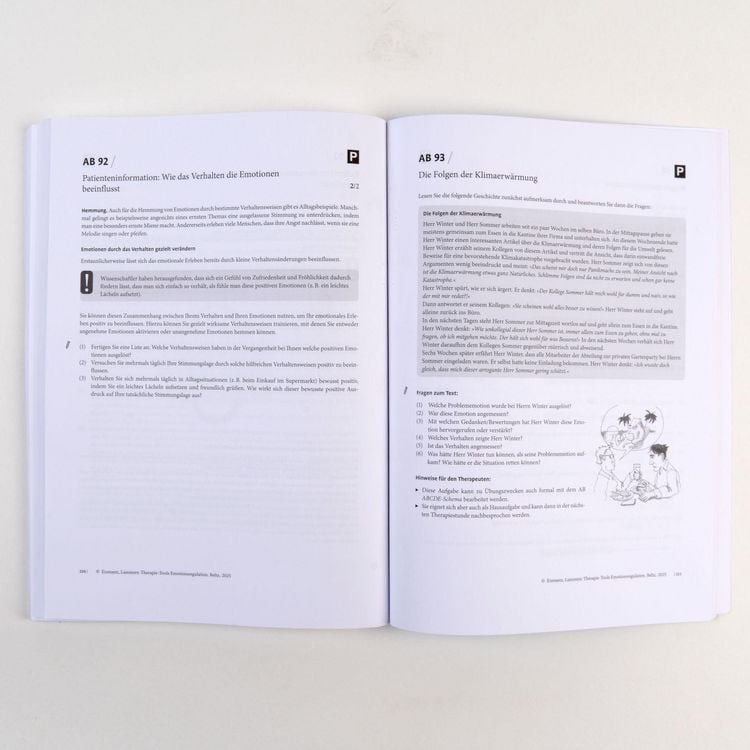 Produktbild: Therapie-Tools Emotionsregulation