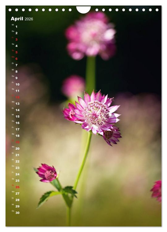 Produktbild: Colors of Nature (Wandkalender 2026 DIN A4 hoch), CALVENDO Monatskalender