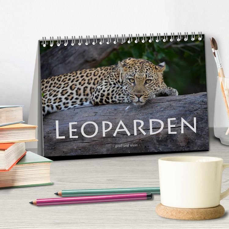 Produktbild: Leoparden - gro&szlig; und klein (Tischkalender 2026 DIN A5 quer), CALVENDO Monatskalender