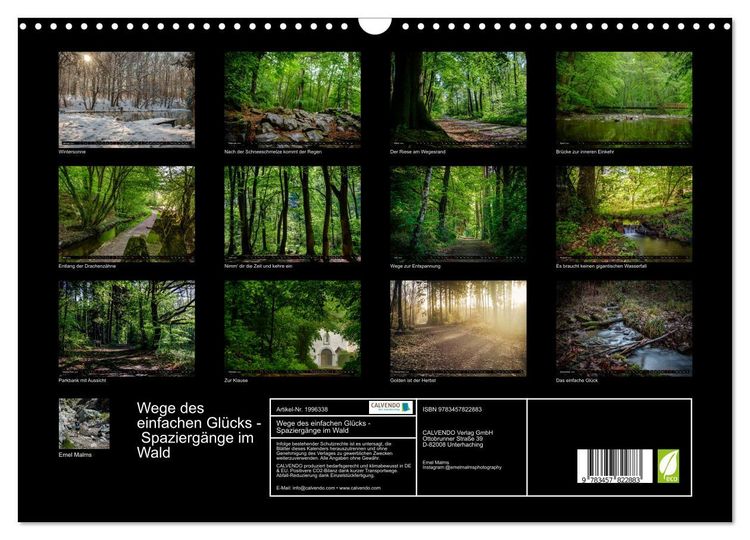 Produktbild: Wege des einfachen Gl&uuml;cks - Spazierg&auml;nge im Wald (Wandkalender 2026 DIN A3 quer), CALVENDO Monatskalender