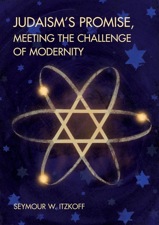 Produktbild: Judaism&rsquo;s Promise, Meeting the Challenge of Modernity
