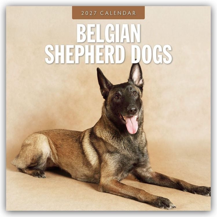 Produktbild: Belgian Shepherd &ndash; Belgischer Sch&auml;ferhund 2027 &ndash; 16-Monatskalender