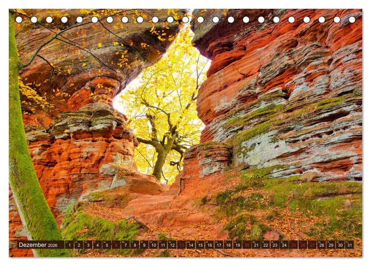 Produktbild: Der Altschlossfelsen - Gr&ouml;&szlig;te Felsformation der Pfalz im herbstlichen Farbspiel (Tischkalender 2026 DIN A5 quer), CALVENDO Monatskalender