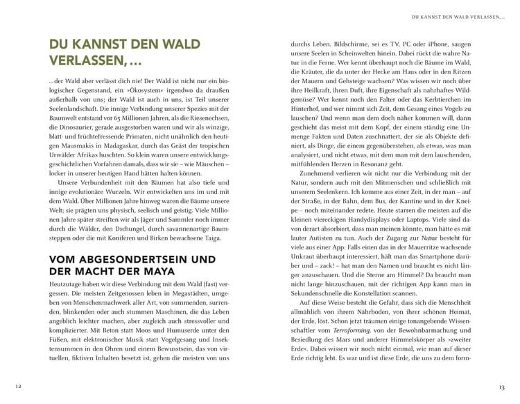Produktbild: Wir sind Gesch&ouml;pfe des Waldes