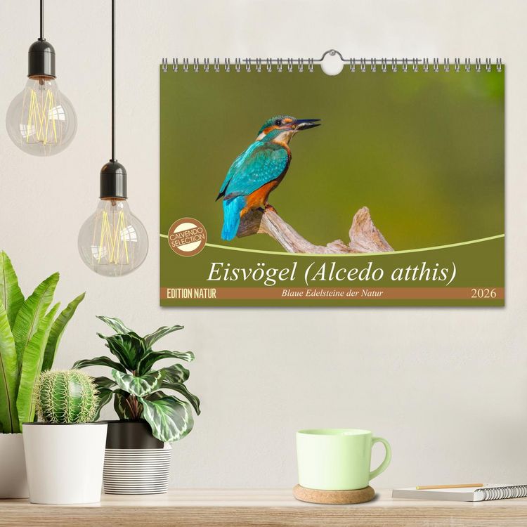 Produktbild: Eisv&ouml;gel (Alcedo atthis) - Edelsteine der Natur (Wandkalender 2026 DIN A4 quer), CALVENDO Monatskalender