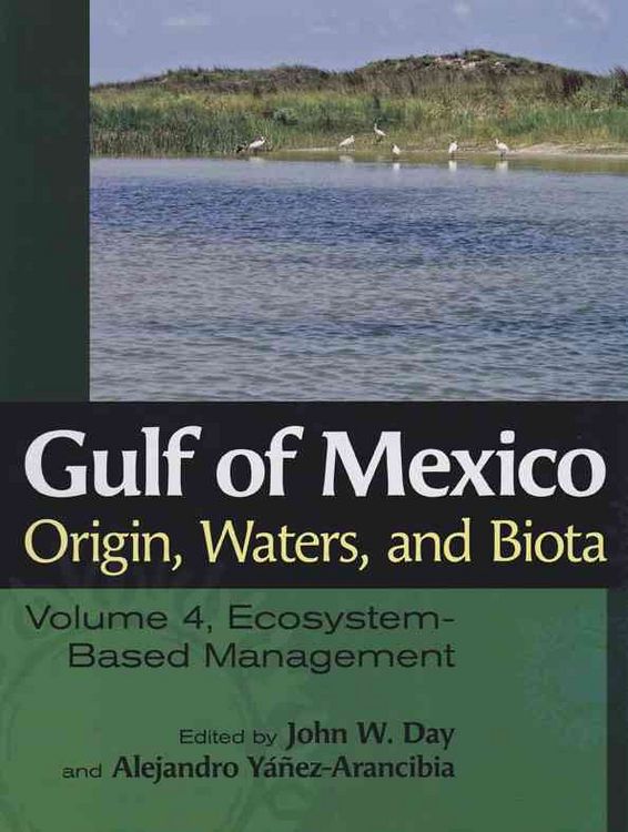 Produktbild: Gulf of Mexico Origin, Waters, and Biota