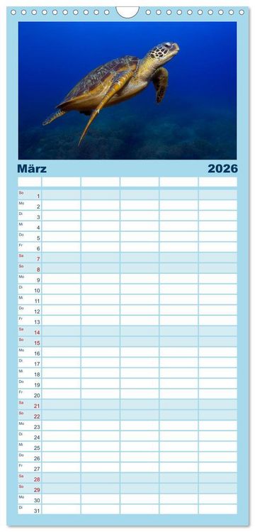 Produktbild: Familienplaner 2026 - Schildkr&ouml;ten des Ozeans mit 5 Spalten (Wandkalender, 21 x 45 cm) CALVENDO