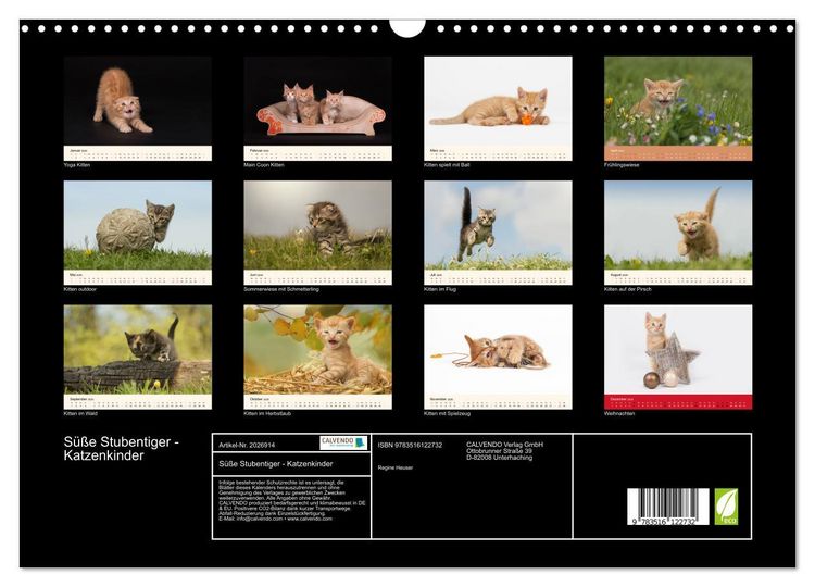 Produktbild: S&uuml;&szlig;e Stubentiger - Katzenkinder (Wandkalender 2026 DIN A3 quer), CALVENDO Monatskalender