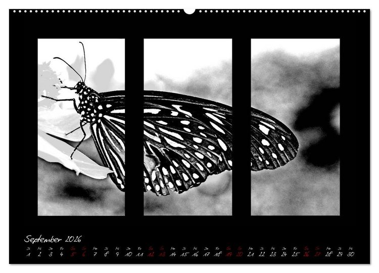Produktbild: Die Kunst der Natur - Dreifach Stilvoll (hochwertiger Premium Wandkalender 2026 DIN A2 quer), Kunstdruck in Hochglanz
