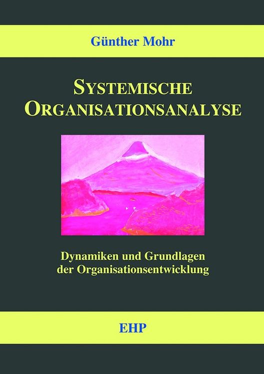 Produktbild: Systemische Organisationsanalyse