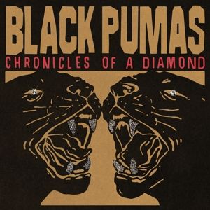 Produktbild: Chronicles Of A Diamond (Ltd. Clear Col. LP)
