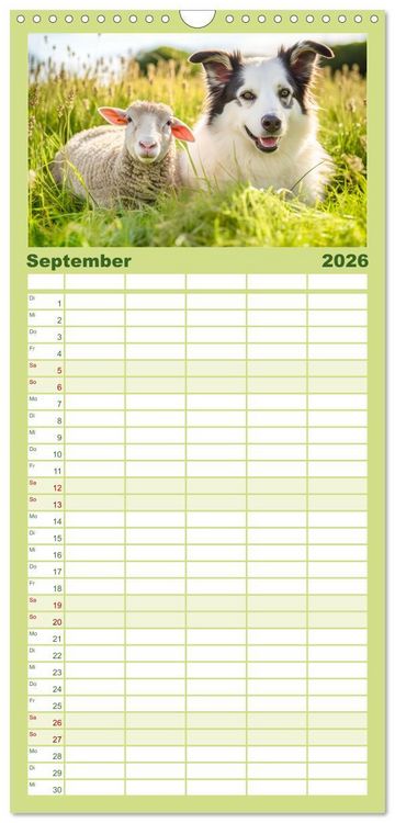 Produktbild: Familienplaner 2026 - Bauernhof-Freunde - Hunde und ihre tierischen Freundschaften mit 5 Spalten (Wandkalender, 21 x 45 cm) CALVENDO